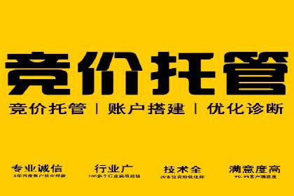 某某sem公司案例解析：如何运用SEM策略助力企业增长